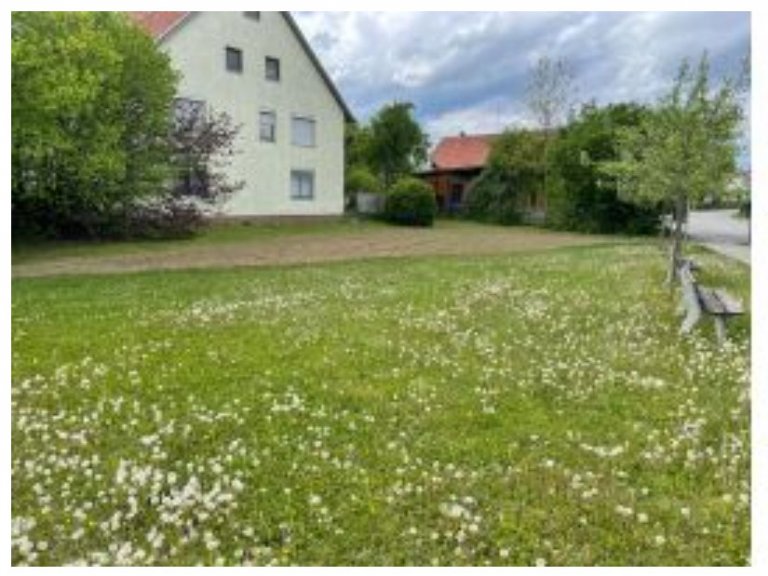 Grossansicht in neuem Fenster: Blühflächen fertig Grossansicht in neuem Fenster: Blühflächen fertig
