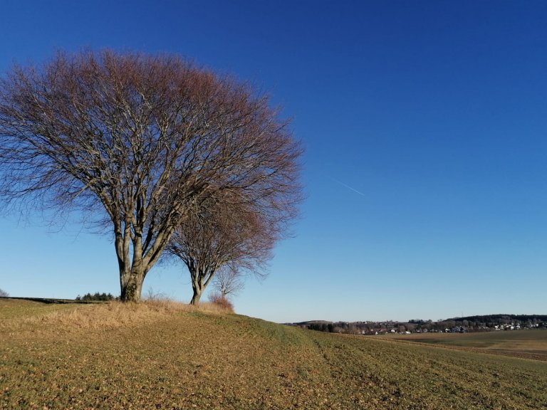 2022 Blick auf Mittelstetten