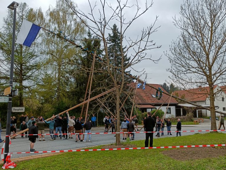 Maibaum2022_1 M