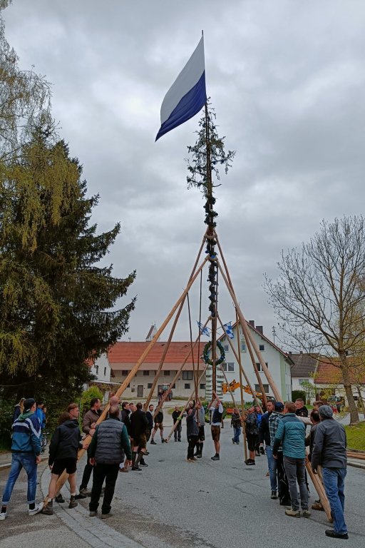 Maibaum2022_M3