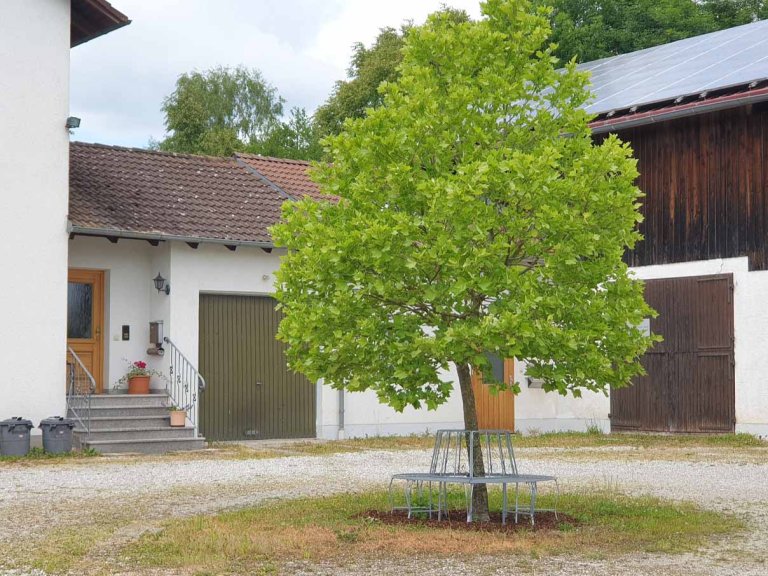 Bank-Weiß Oberdorf