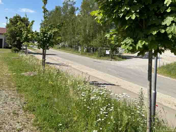 Blumenwiese Sportplatz