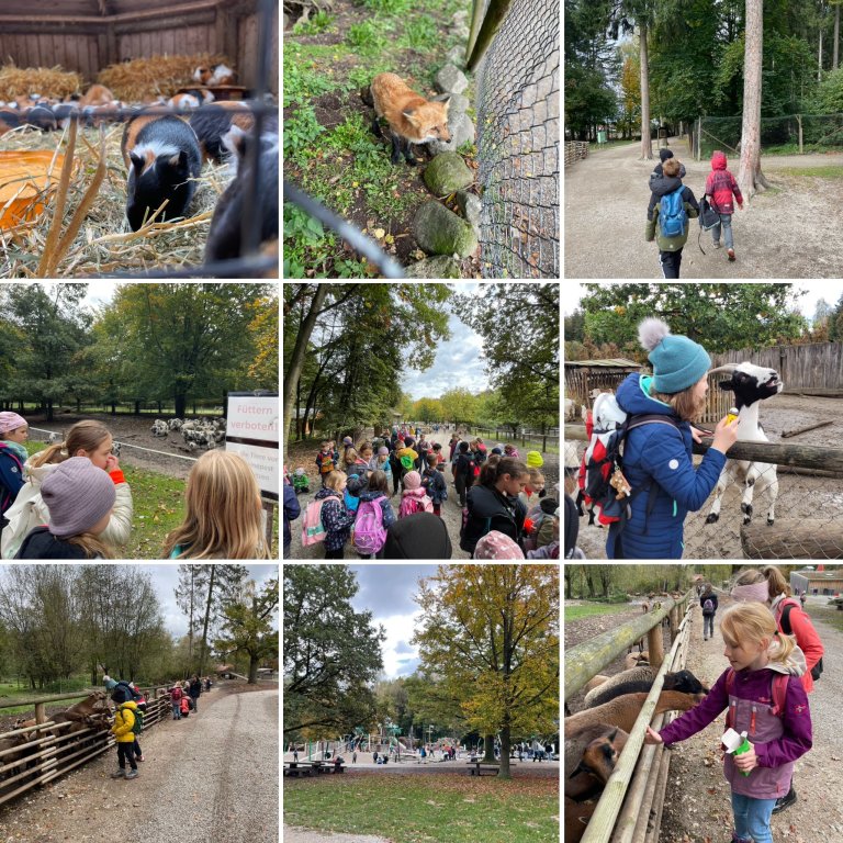 Wildpark 2