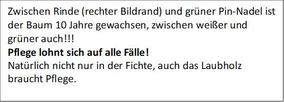 rinde rinde