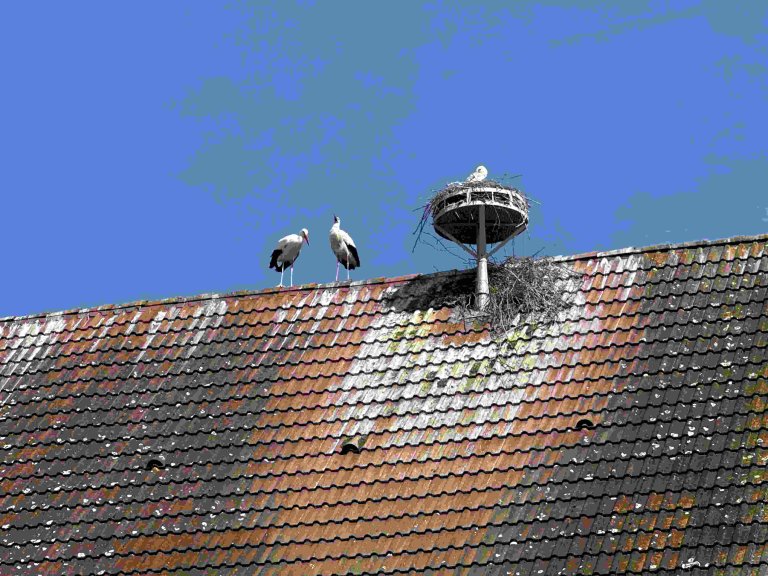 Öttingen 6