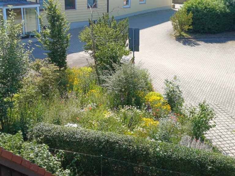 Blühbeet1 Blühbeet1